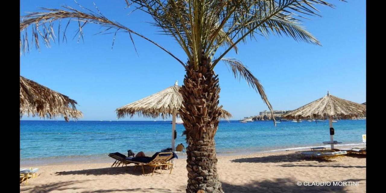 Отель Sharm Dreams Vacation Club - Aqua Park Экстерьер фото El Alamein beach